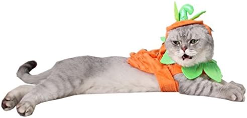Leowow Pet Halloween pribor Mali pas mačka Noć vještica bundeve kostimi