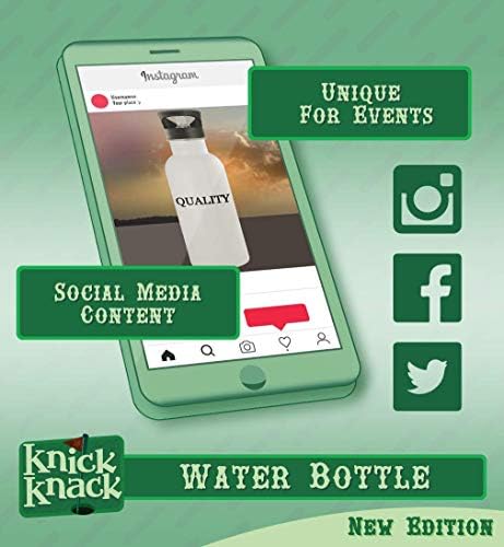 Knick Knack pokloni WaterTable - boca vode od nehrđajućeg čelika od 20oz, srebro
