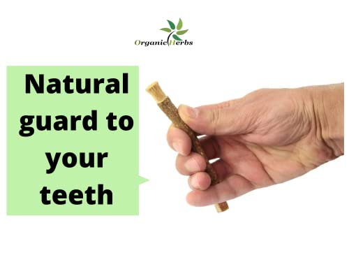 Organsko bilje tradicionalno prirodno Miswak Peelu žvakaće četkicu za zube za bjeldiji zubi -3 pc