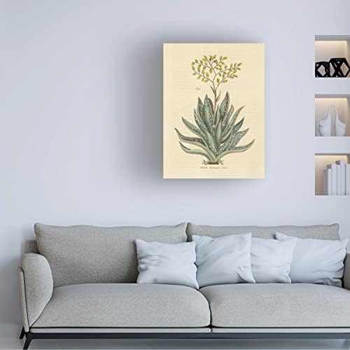 Zaštitni znak likovna umjetnost 'Herbal Botanical XXXI' Canvas Art by Wild Apple Portfolio