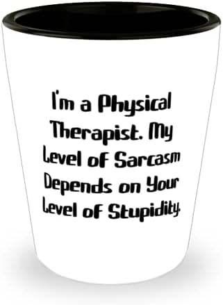 Smiješni fizioterapeut, i sam sam fizioterapeut. Ovisi o mojoj razini sarkazma, sjajna čaša za kolege od kolega