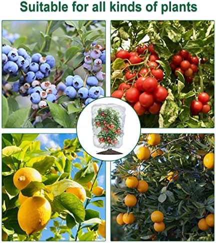 4 pakiranje vrtnog biljnog voća borovnice grmlja zaštita mreže prekrivača s vrećicama s crtanjem, zaštitni poklopac rajčice vrtne biljke