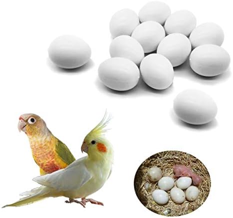 Foiburely 12 pcs čvrsti jaja od jaja izlijevanja jaja zeleni obraz, lorikeet i ringneck golubica, Quaker, kockatiel. Prevariti ptice