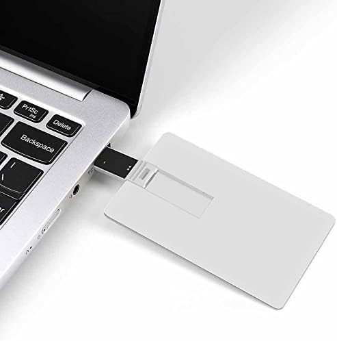 Rasta u boji Ornamen Drive USB 2.0 32G & 64G prijenosna memorijska kartica za PC/Laptop