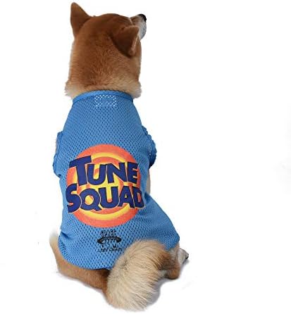 Looney Tunes Space Jam 2 Tune Squad Tank Tank, velika košulja za pse | Looney Tunes Space Jam Jersey, Mesh Blue Dog majica za velike