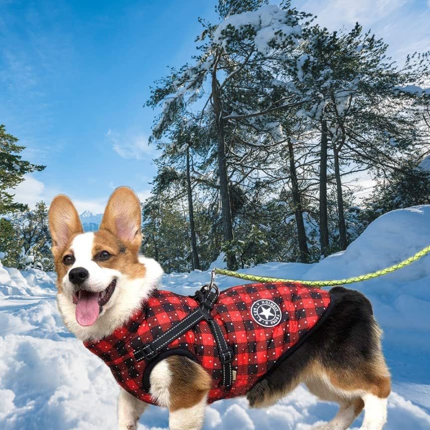 Macho Man Hladno vrijeme Zimsko pseće štene Kabel Kabel vodootporan vjetar toplo runo mali srednji veliki psi za praznični kućni ljubimac
