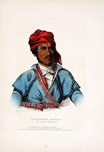 Timpuchi Barnard, plemenski ratnik Uchi