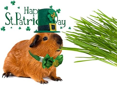 4 Pack St. Patricks Dan malih životinjskih šešira Rabbit Shamrock Irish Bow kravata s zvonom hrčka St. Patricks Day kostim za zeko