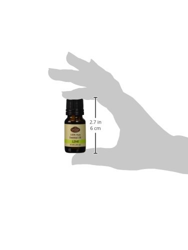 Sjajna Frannie Lime čista, nerazrijeđena terapijska terapeutski stupanj esencijalnog ulja - 10 ml. Izvrsno za aromaterapiju