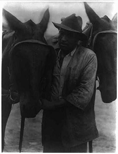 PovijesneFindings Foto: Neidentificirani Afroamerikanac, konji, ljudi Appalachia, C1930, Doris Ulmann