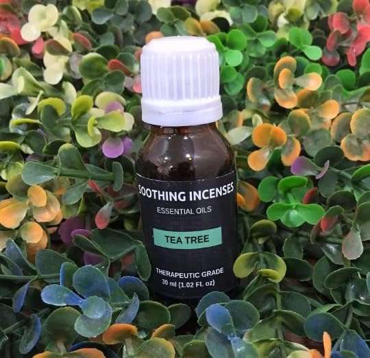 Eterična ulja čajevca ~ čisto prirodno aromaterapijsko masažno ulje - terapeutska stupnja - prirodni tamjan - čisto esencijalno