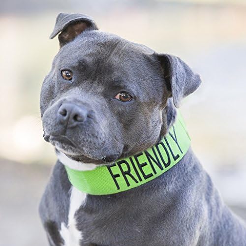 Prijateljska zelena boja kodirana l-xxl Polu-poklopac ogrlica za pse sprječava nesreće upozoravajući druge na vašeg psa unaprijed